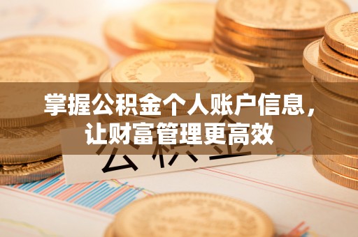 歙县掌握公积金个人账户信息，让财富管理更高效
