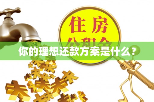 歙县你的理想还款方案是什么？