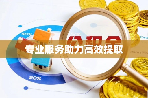 歙县专业服务助力高效提取