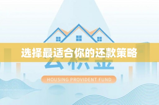 歙县选择最适合你的还款策略
